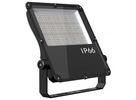 Flood Light III